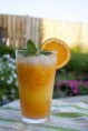/album/fotogaleria-bebidas/gteh-jpg/